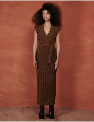 Camel V dress